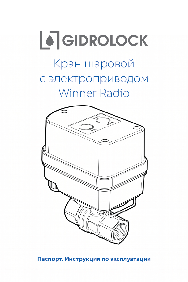 Паспорт Winner Radio