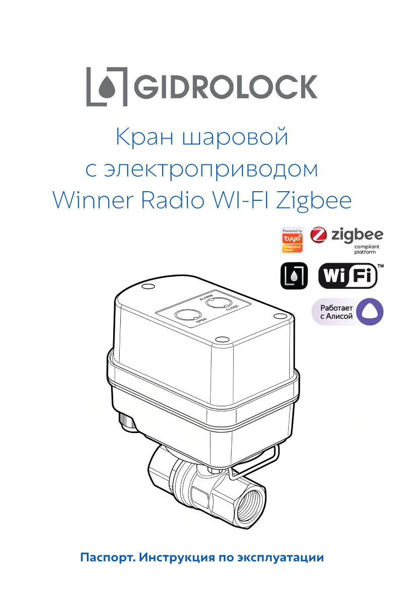 Паспорт Winner Wi-Fi Zigbee