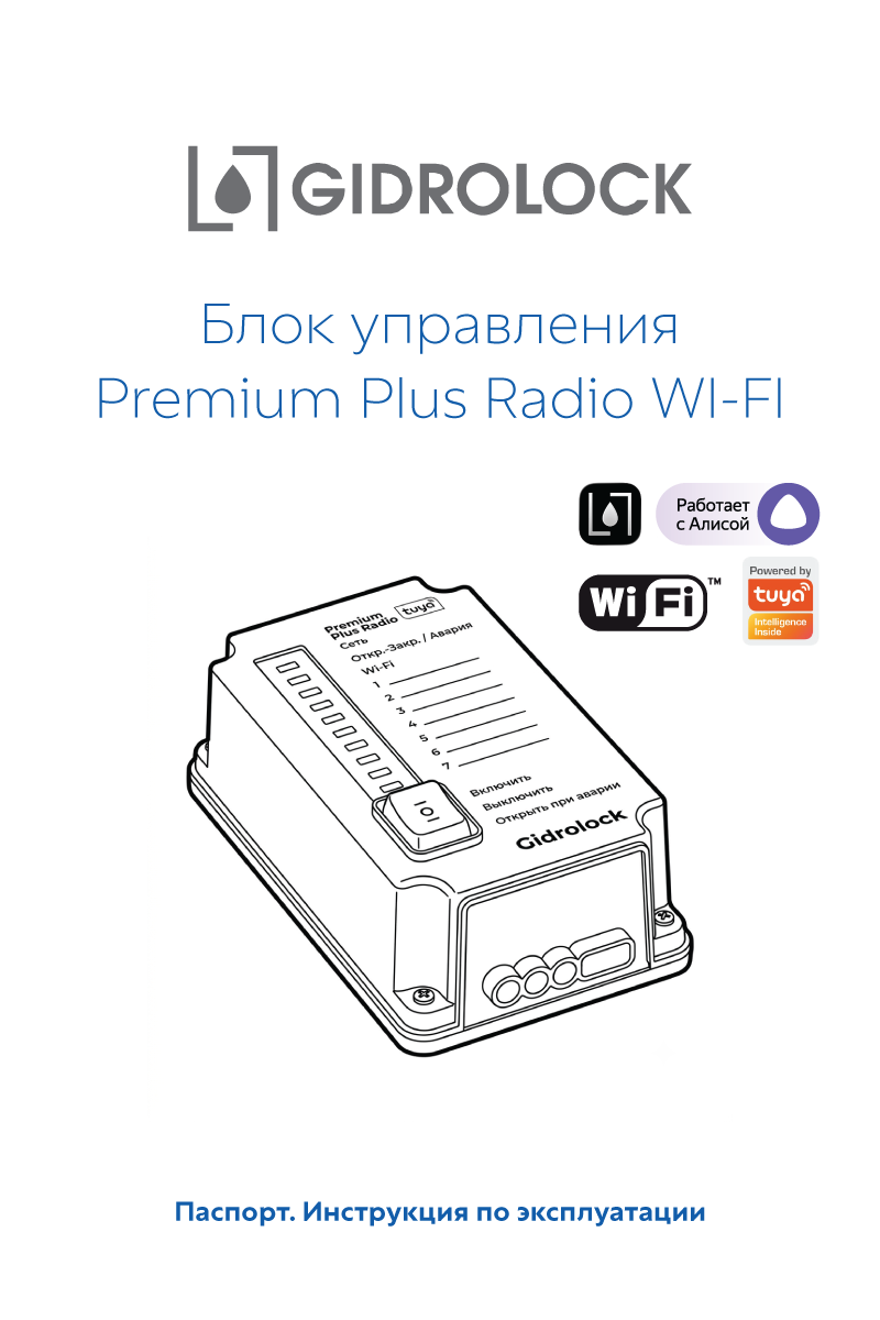Паспорт Premium Plus Radio Wi-Fi