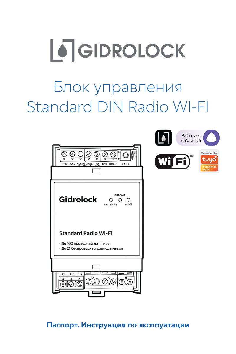 Паспорт Standard DIN Radio Wi-Fi