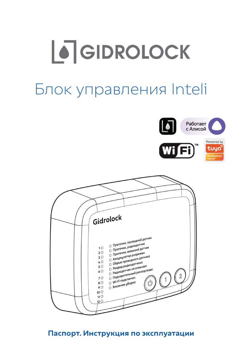 Паспорт Inteli