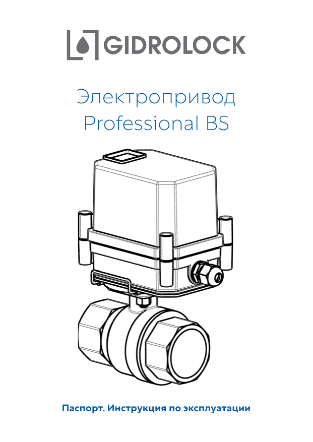 Паспорт Professional BS