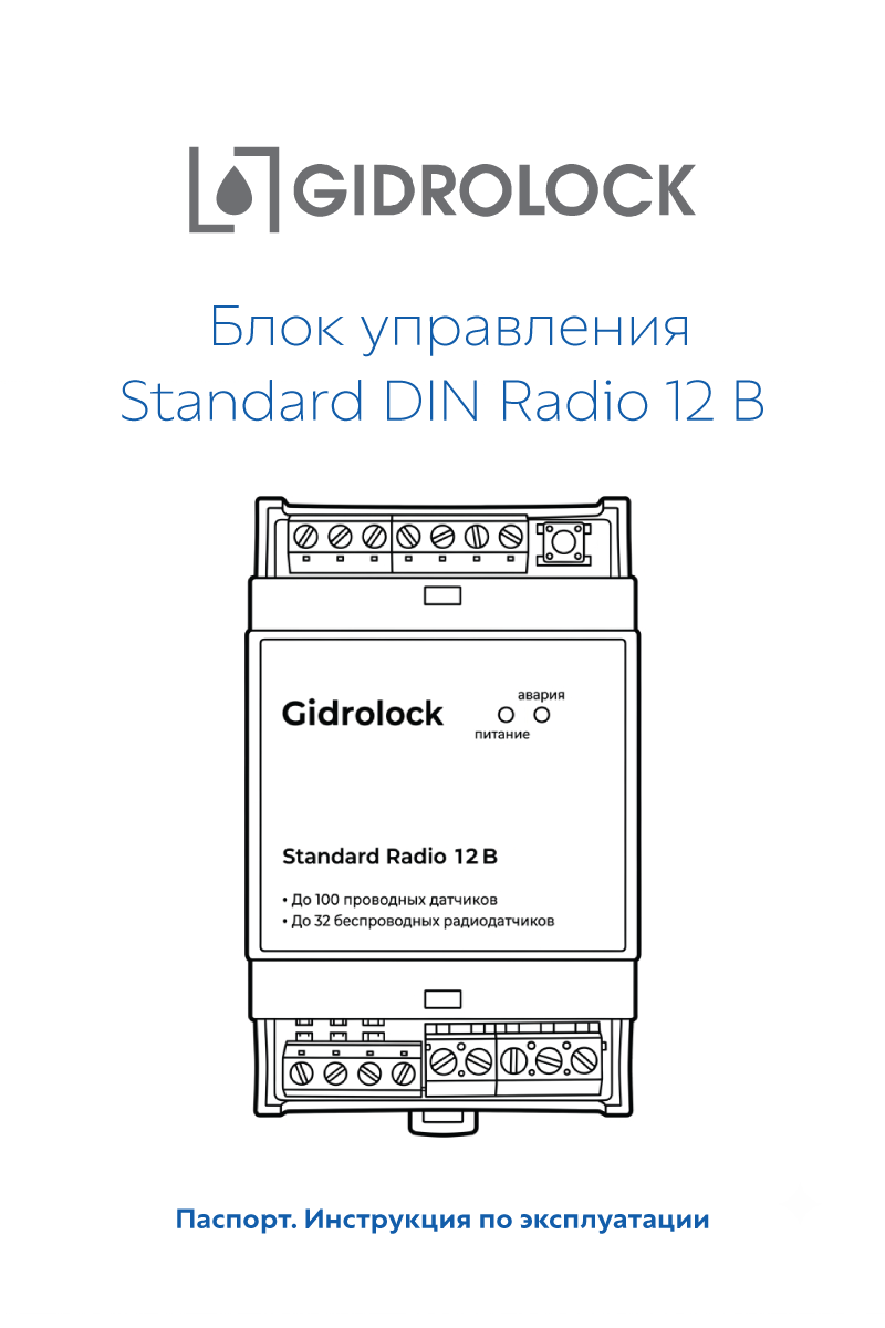 Паспорт Standard DIN Radio 12В