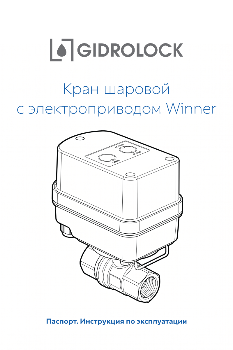 Паспорт Winner