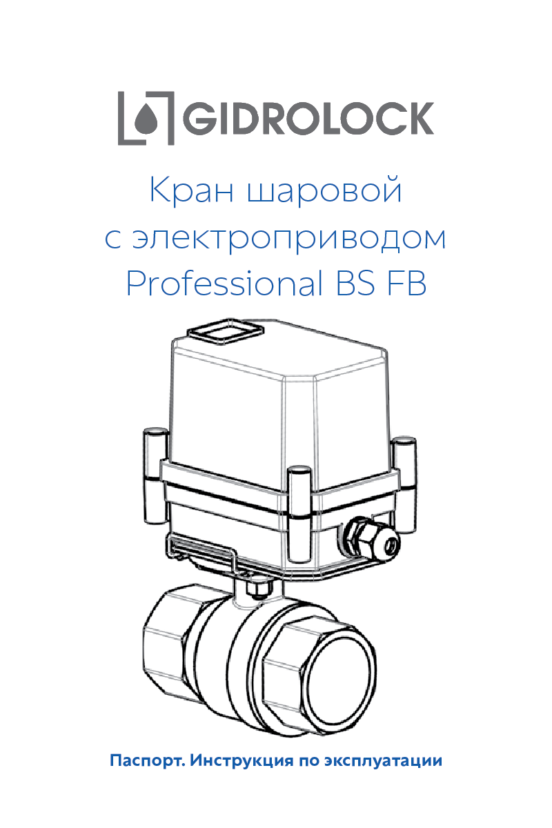 Паспорт Professional BS FB