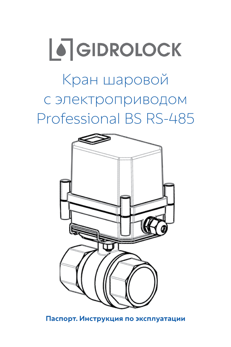 Паспорт Professional BS RS-485